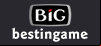 logo BIG casino